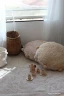 Подушка Lorena Canals Floor Cushion Bubbly Honey (?48 см)